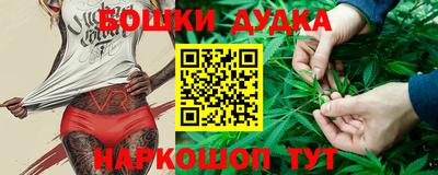 круглые Кингисепп